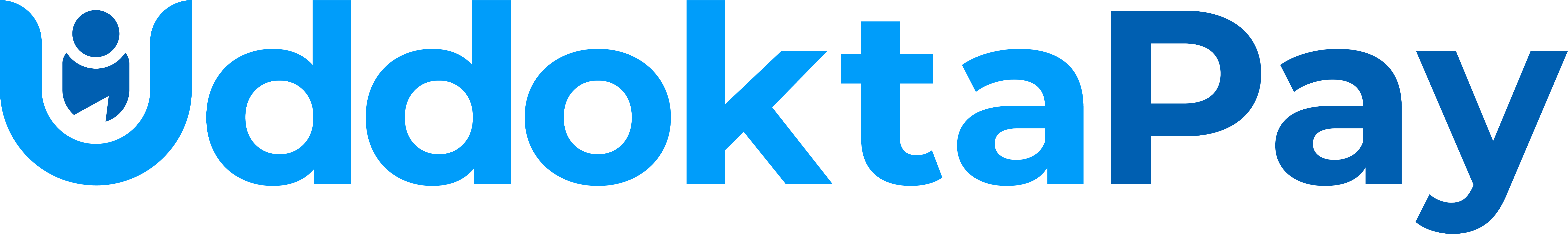 bdfast logo